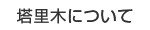 塔里木について