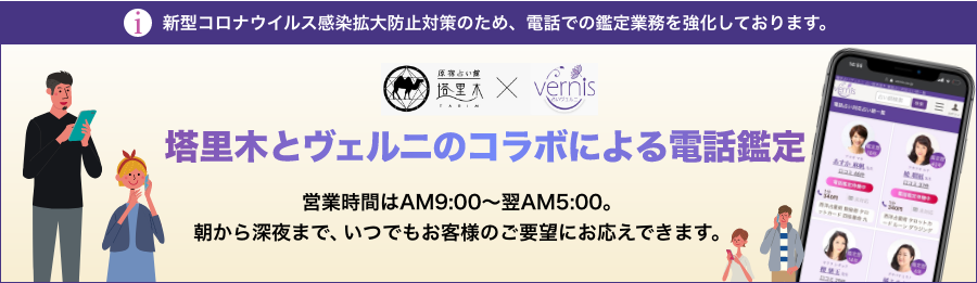 タリムとヴェルニのコラボによる電話鑑定
