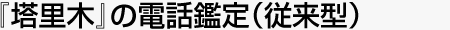 『塔里木』の電話鑑定（従来型）